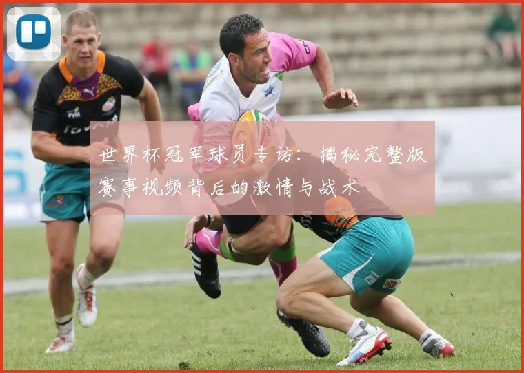 世界杯冠军球员专访：揭秘完整版赛事视频背后的激情与战术